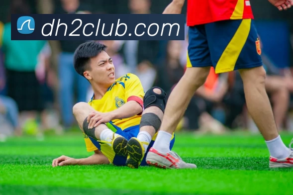 多媒体互动体验